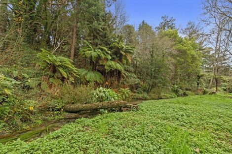 Photo of property in 40 Icarus Place, Sunnybrook, Rotorua, 3015