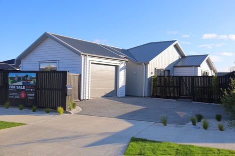 Photo of property in 6 Samuel Place, Terrace End, Palmerston North, 4410