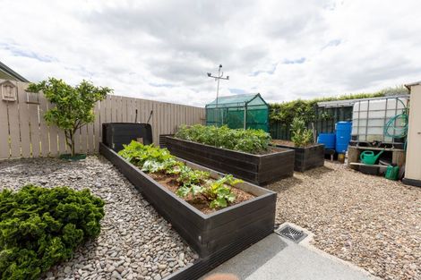 Photo of property in 5 Rata Lane, Paeroa, 3600