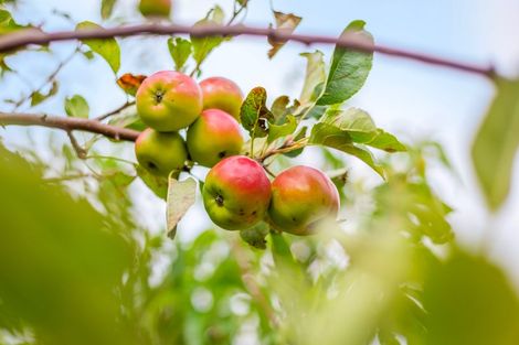 Photo of property in 25 Kaimai Place, Aotea, Porirua, 5024