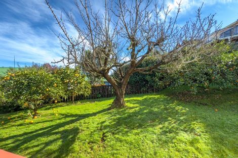 Photo of property in 306 Marshall Crescent, Thames, 3500