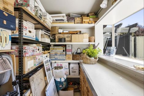 Photo of property in 6 Bruce Street, Roslyn, Dunedin, 9011