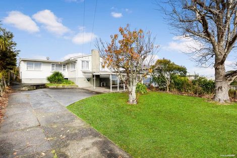 Photo of property in 58 Webster Avenue, Mount Roskill, Auckland, 1041