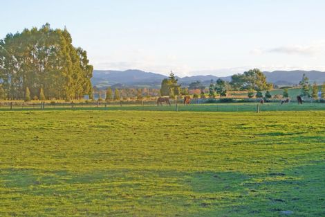 Photo of property in 161 Edinburgh Street, Waikouaiti, 9510