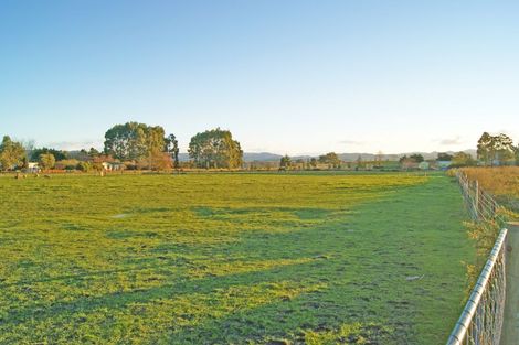 Photo of property in 161 Edinburgh Street, Waikouaiti, 9510