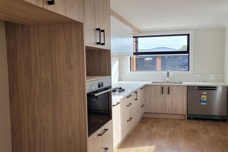 Photo of property in 1b Casey Avenue, Claudelands, Hamilton, 3214