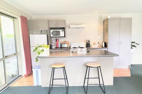 Photo of property in 45b Lees Street, Dunedin Central, Dunedin, 9016