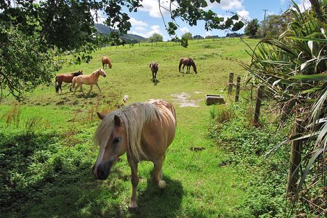 Photo of property in 153 Baldrock Road, Brynderwyn, Maungaturoto, 0587