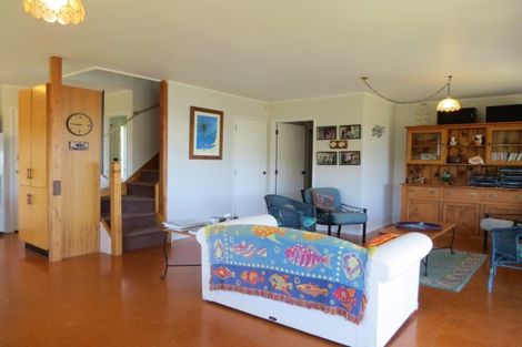 Photo of property in 17 Little Bay Drive, Waikawau, Coromandel, 3584