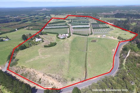 Photo of property in 3167 State Highway 1, Pukenui, Kaitaia, 0484