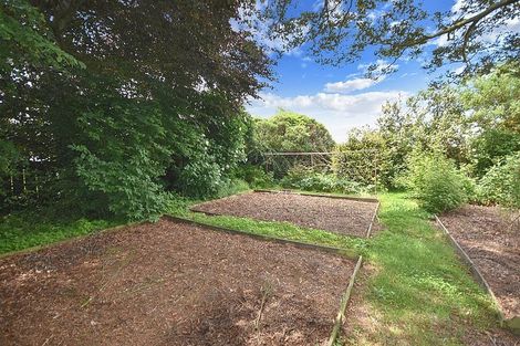 Photo of property in 217 Union Street, Milton, 9220