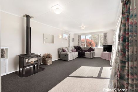 Photo of property in 31 Derby Street, Solway, Masterton, 5810
