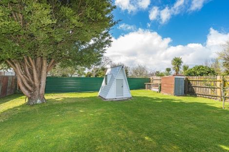 Photo of property in 24 Caffray Avenue, Aramoho, Whanganui, 4500