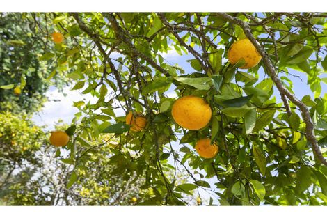 Photo of property in 4 Eccles Avenue, Te Kauwhata, 3710