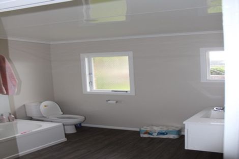 Photo of property in 147 Galloway Street, Hamilton East, Hamilton, 3216