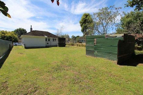 Photo of property in 20 Wilson Street, Pahiatua, 4910