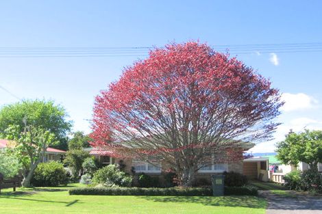 Photo of property in 8 Rangiora Avenue, Matamata, 3400