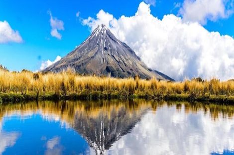 Photo of property in 68 Cowling Road, Hurdon, New Plymouth, 4310