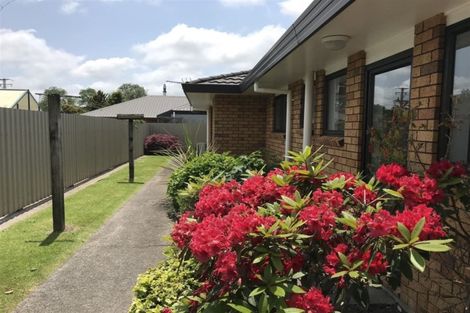 Photo of property in 10a Maire Street, Inglewood, 4330