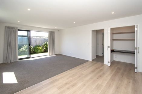 Photo of property in 55 William Nicholls Drive, Belfast, Christchurch, 8051