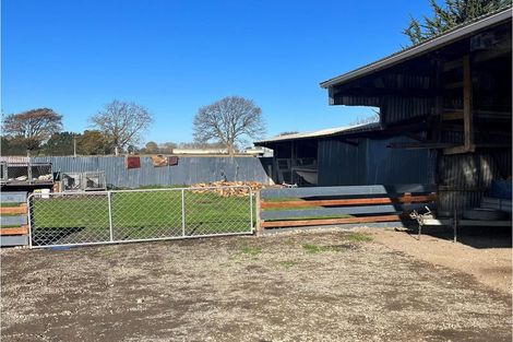 Photo of property in 130 Molloys Road, Waimate, 7980