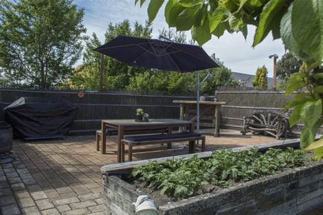 Photo of property in 13 Harris Street, Pleasant Point, 7903