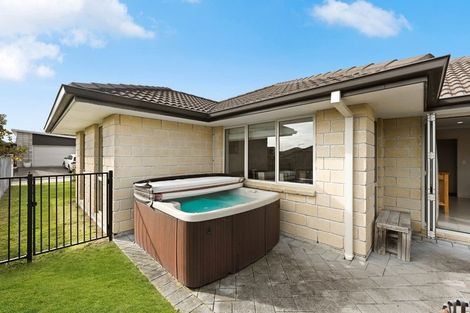 Photo of property in 20 Wisteria Place, Flagstaff, Hamilton, 3210