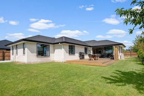 Photo of property in 225 Taylor Pass Road, Witherlea, Blenheim, 7201