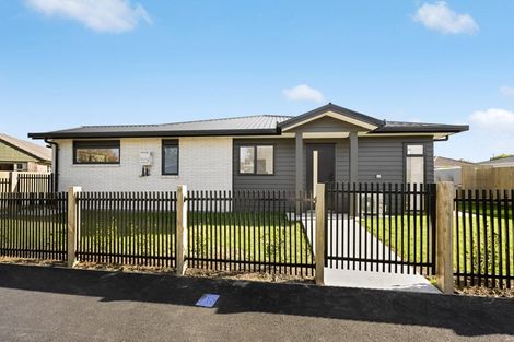 Photo of property in 17 Fend Street, Chartwell, Hamilton, 3210