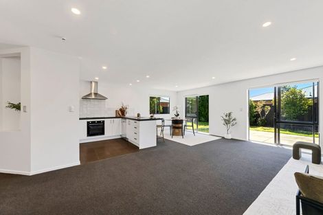 Photo of property in 20 Larne Place, Belfast, Christchurch, 8051