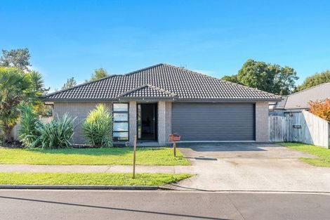 Photo of property in 29 Edgeview Crescent, Fitzroy, Hamilton, 3206