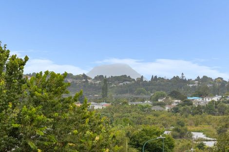 Photo of property in 17 Newark Close, Gate Pa, Tauranga, 3112