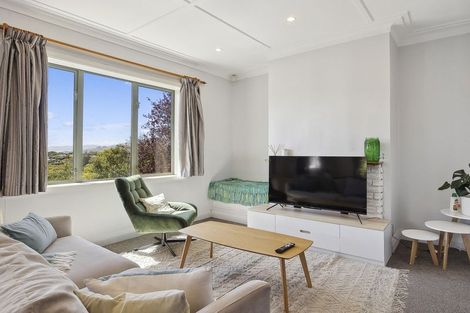 Photo of property in 113 Maryhill Terrace, Maryhill, Dunedin, 9011