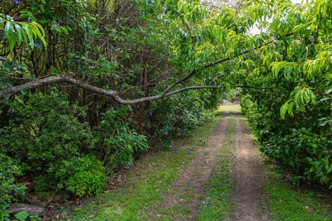 Photo of property in 257 Queen Charlotte Drive, Havelock, 7281