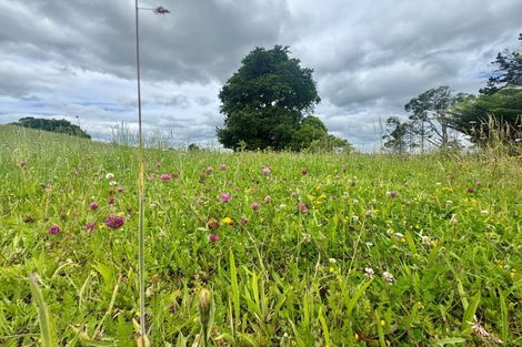 Photo of property in 30c State Highway 2, Aongatete, 3178