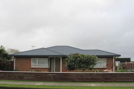 Photo of property in 17 Featherston Street, Levin, 5510