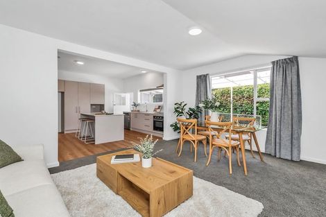 Photo of property in 26 Taumutu Road, Southbridge, 7602