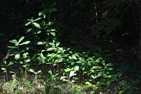 Photo of property in 196 Metcalfe Road, Matakohe, 0593