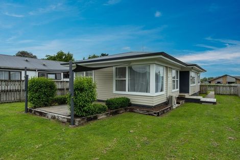 Photo of property in 270 Raeburne Street, Te Awamutu, 3800