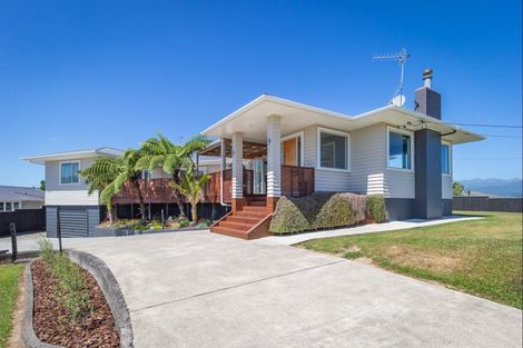 Photo of property in 28 Chester Street, Levin, 5510