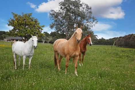 Photo of property in 94 Farmpark Road, Waiuku, 2681