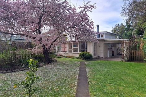 Photo of property in 53a Mckenzie Street, Geraldine, 7930