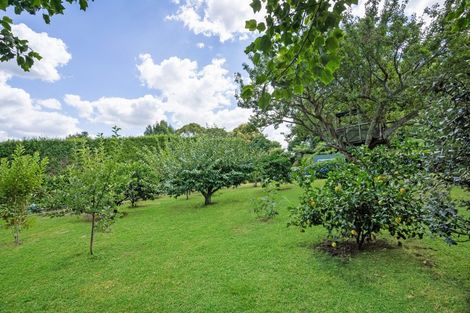 Photo of property in 350 Esdaile Road, Whakamarama, Tauranga, 3180