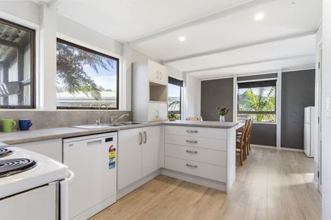 Photo of property in 100 Mayfair Avenue, Whangamata, 3620