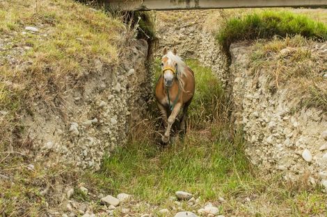 Photo of property in 186 Struie Road, Hororata, 7572