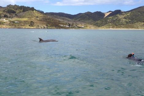 Photo of property in 59a Tasman Heights, Ahipara, Kaitaia, 0481