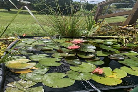 Photo of property in 14 Charles Street, Tokoroa, 3420