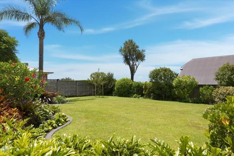 Photo of property in 29 Judea Road, Judea, Tauranga, 3110