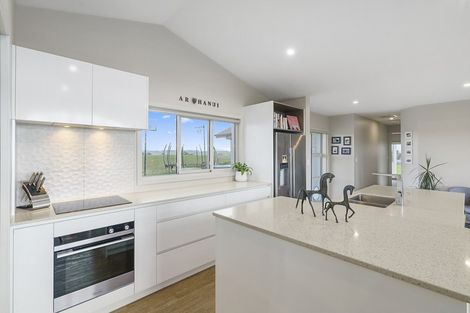 Photo of property in 58 Beechwood Road, Feilding, 4779