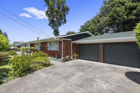 Photo of property in 31 Butterworth Avenue, Opaheke, Papakura, 2113